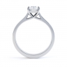 Rina Emerald Diamond Engagement Ring Side View  thumbnail