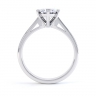 Fleur 6 Claw Diamond Engagement Ring Side View thumbnail