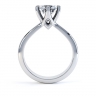 Raina 6 Claw Engagement Ring Side View thumbnail
